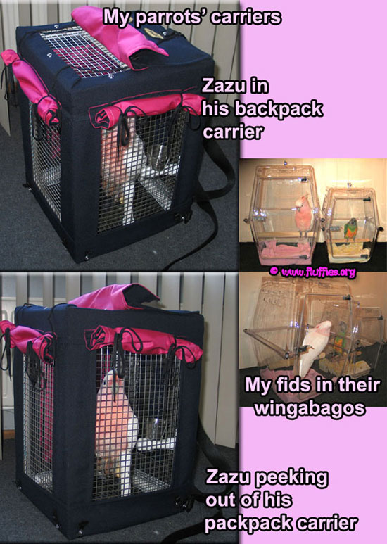Wingabago bird carrier hotsell