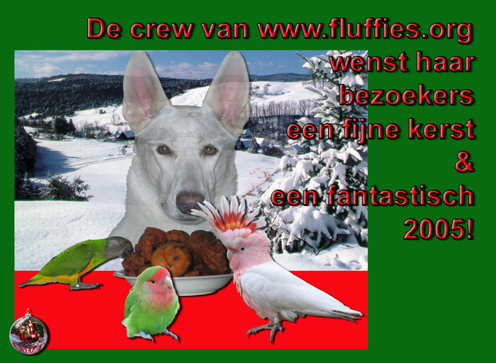 Iago, Zazu, Flit & Nenya wensen jullie een geweldige kerst & een spetterend 2005!