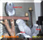 Click on this picture to enlarge and see the three of us!