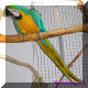 And of course: Appropriate perches!!