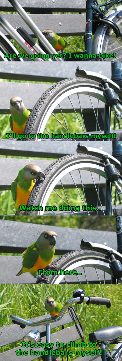I wanna go biking! 