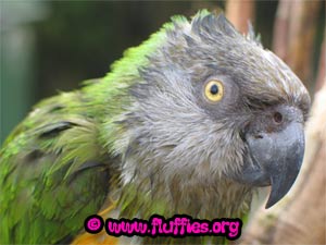 I warn you, do not take a photo of me!!