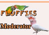 Moderator Moderator