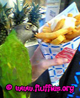 Hey, Iago, these are my snacks!