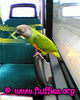 I love travelling by bus!