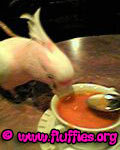 Ah! Soup is always a good start!