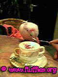 Hey! Gimme some!