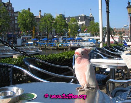 Nice view! Can we go with the tourboat?