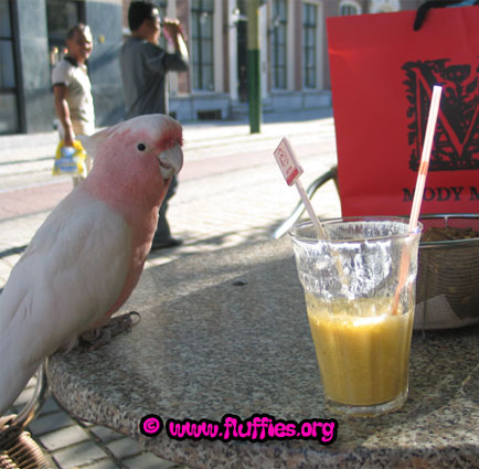 What a nice drink..