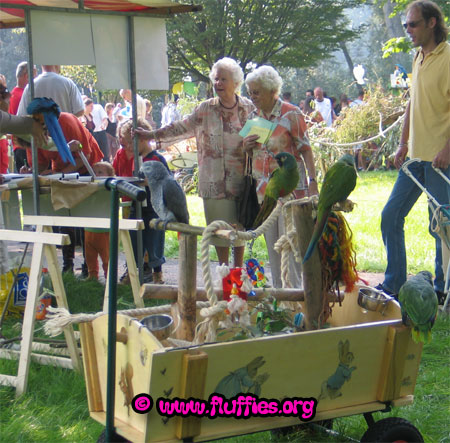 Stand of the 'kliniek voor vogels'