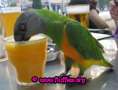 Orange juice is much better!