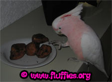 RAISINS, COME TO ME!!