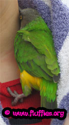 It's good over here.. Zazu, keep your eyes open and tell me all about it when we get home!