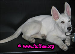 Close the cupboard doors please, so I can sleep!