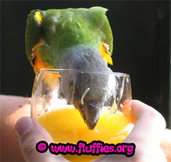 Yum! I was so thirsty!