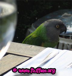 You eat your bread, I know what's on the menu as well!