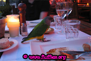 I'm full, let's go! It's getting dark!