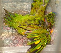Splish splash, look who's taking a bath!