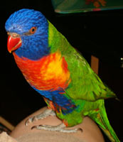 I told you! Gorgeous, am I not?
