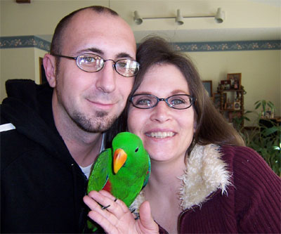 Finnigan, red sided eclectus parrot (eclectus roratus polychloros) with parronts.. :)