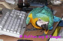 I will email you!