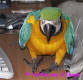 A birds gotta walk..