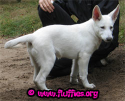 I don't want to rest!!