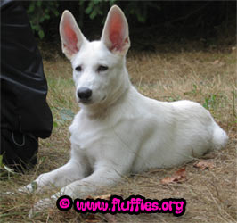 Just for a minute then..