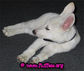 Who is touching my toy?!