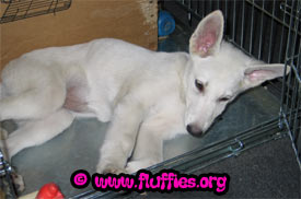 Huh huh? Did anyone call me?