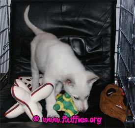 This place is pretty nice!