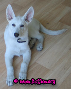 Don't you think I look gorgeous on this photo? 