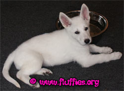 Net thuis... Eventjes snel een waterbak gevuld.. :-)