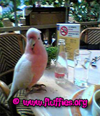 What's on the menu today? Nothing for me?!