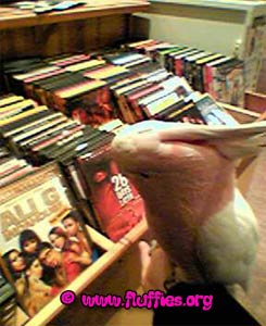 I don't see a nice movie..