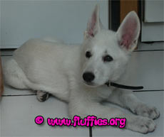 Ziet ze er niet lief uit? Doesn't she look cute?