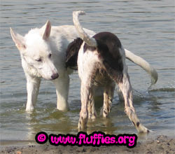 Oh, wie ben jij ook al weer?