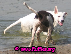 Heee!! Hier is het veel te diep!