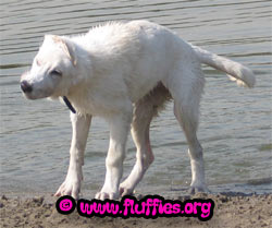 Bah, ik ben helemaal nat!