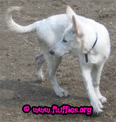 Ik ga d'r uit hoor..