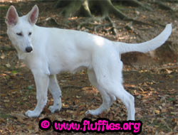 Waar ist balletje nou?