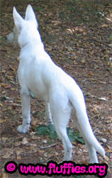 Heb je hem over het heuveltje gegooid?